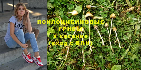 apvp Баксан